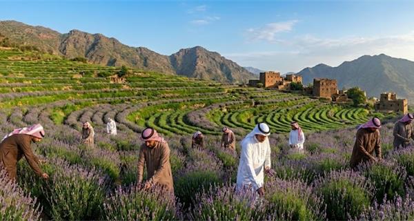 مشروع التوعية البيئية المجتمعية